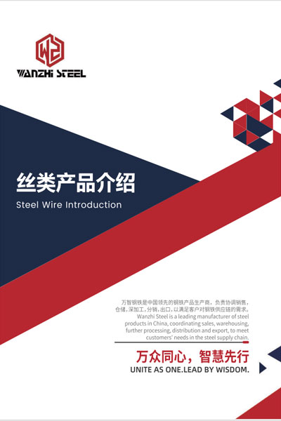 Steel Wire Manual