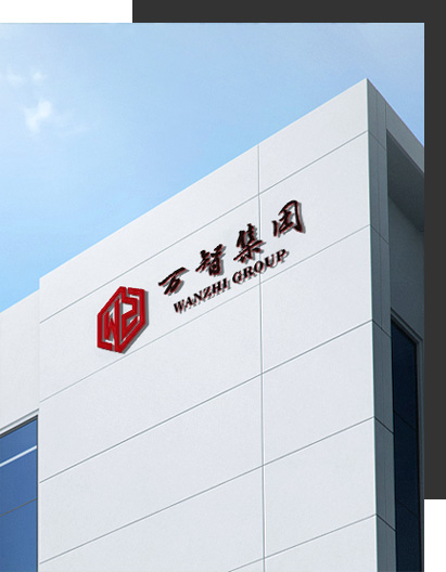 Wanzhi Group - Company