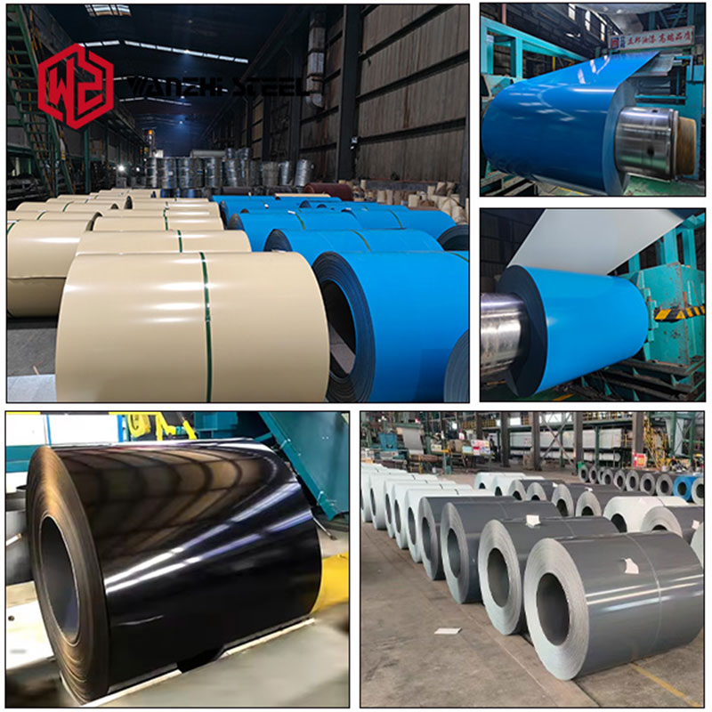 PPGI Steel Coil Factory