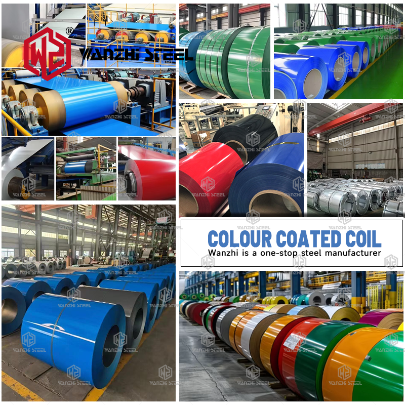 PPGI PPGL Color Coated Steel -Wanzhi Group