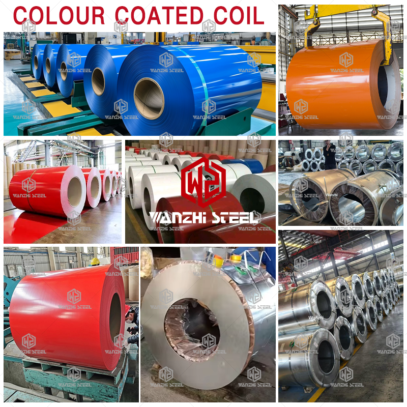 Color Coated Coil - Wanzhi Group