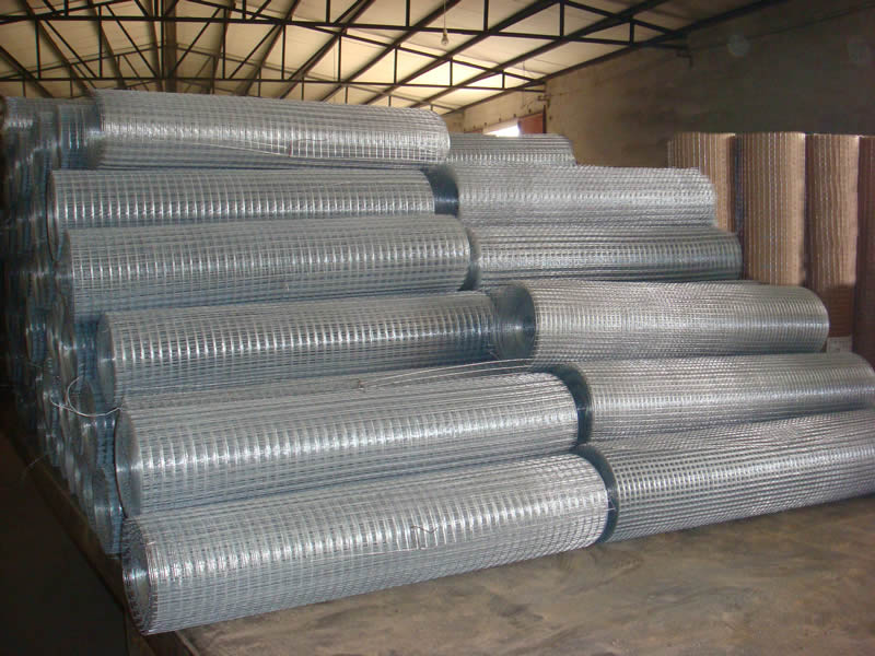 GI Welded Wire Mesh - Wanzhi Group
