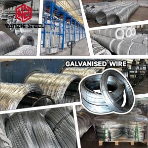 GI Wire - Wanzhi Group