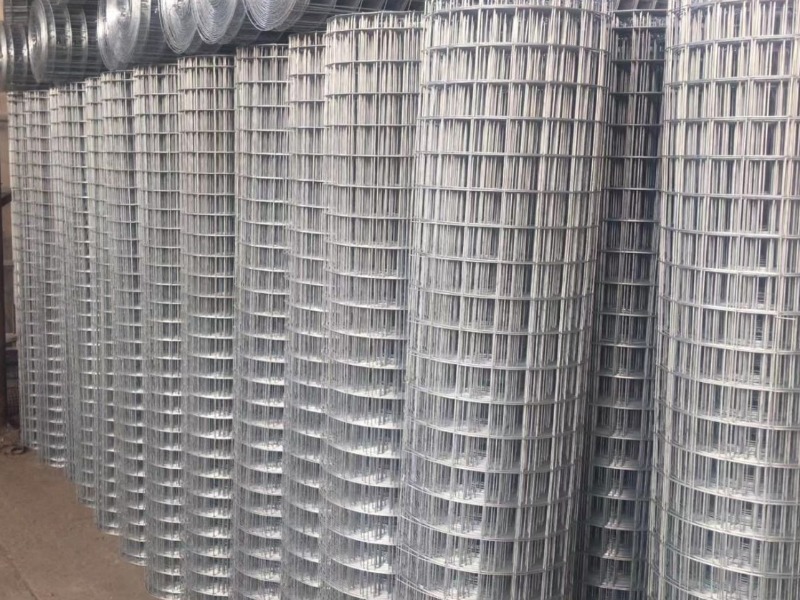 Welded Wire Mesh in Roll - Wanzhi Group