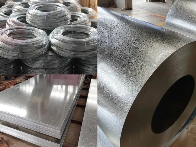 Galvanized Steel Coils, Sheets and Strips -Wanzhi Group